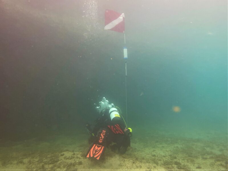 06-03-22 Diveflag Underwater.jpeg