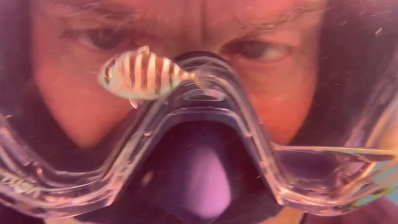 06-08-24 Pilotfish Selfie.jpg