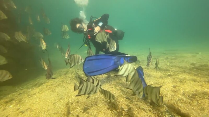 07-04-24 Quinn And The Spadefish.jpg