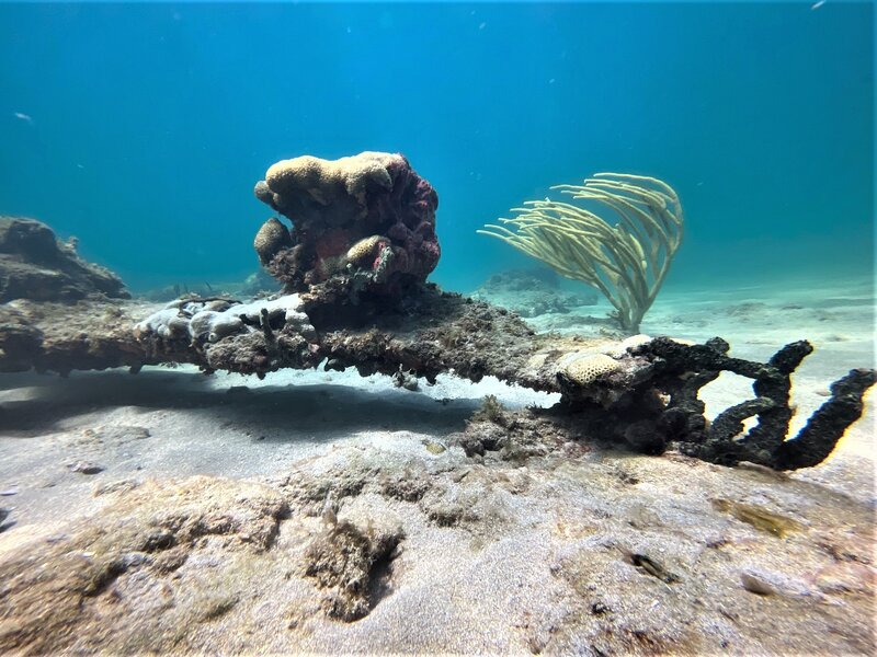 08-24-22 Undercut Coral Formation 1.jpeg 08-24-22 Undercut Coral Formation 1.jpeg