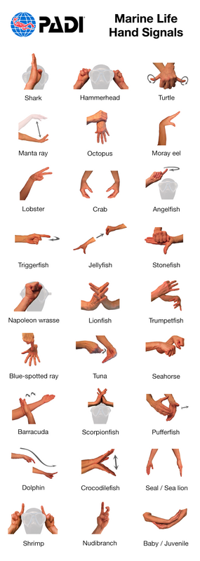 1650984119637.png