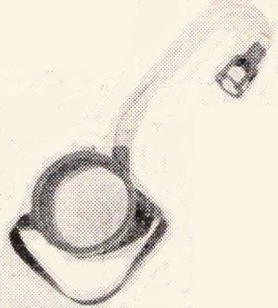 1730613696500.png