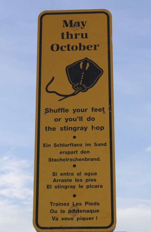 1747786731076.png