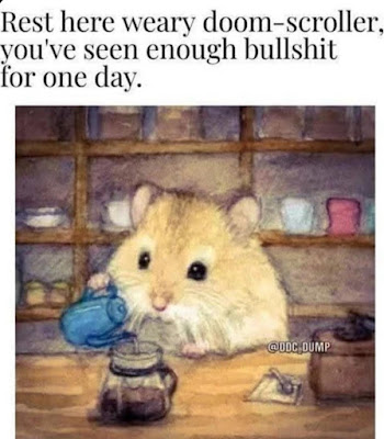 1752681831294.png
