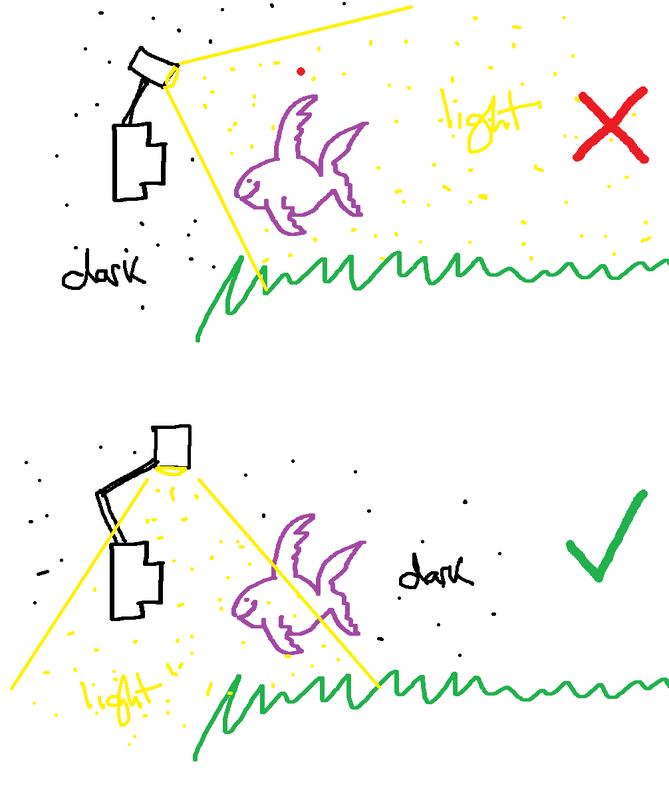 1755079507007.png