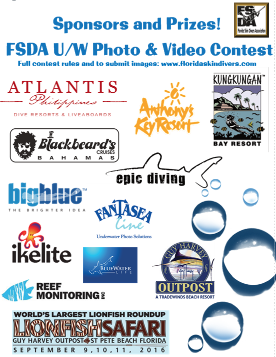 2016 FSDA Contest Sponsors.png