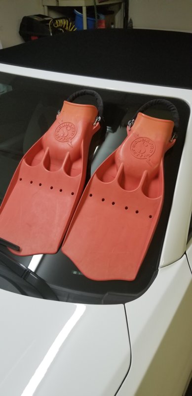 20190813_201942.jpg 20190813_201942.jpg