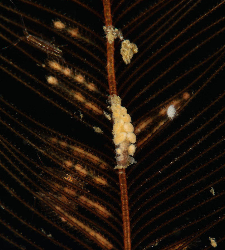 48661888906_6ae13a0aee_b.jpg 48661888906_6ae13a0aee_b.jpg