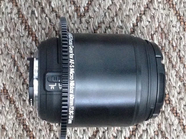 60mm Macro.jpg 60mm Macro.jpg