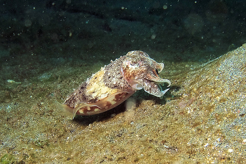 6367164451_28af7a68c0.jpg 6367164451_28af7a68c0.jpg
