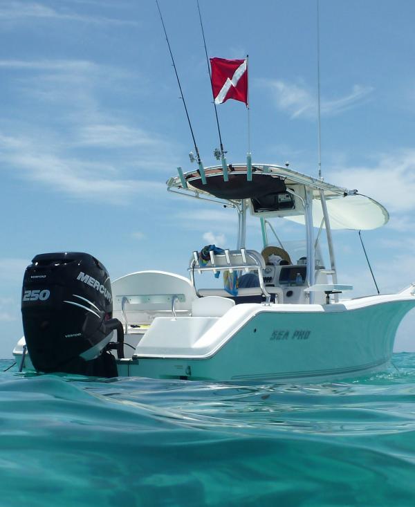 The BEST Dive Flag Float by MAKO Spearguns