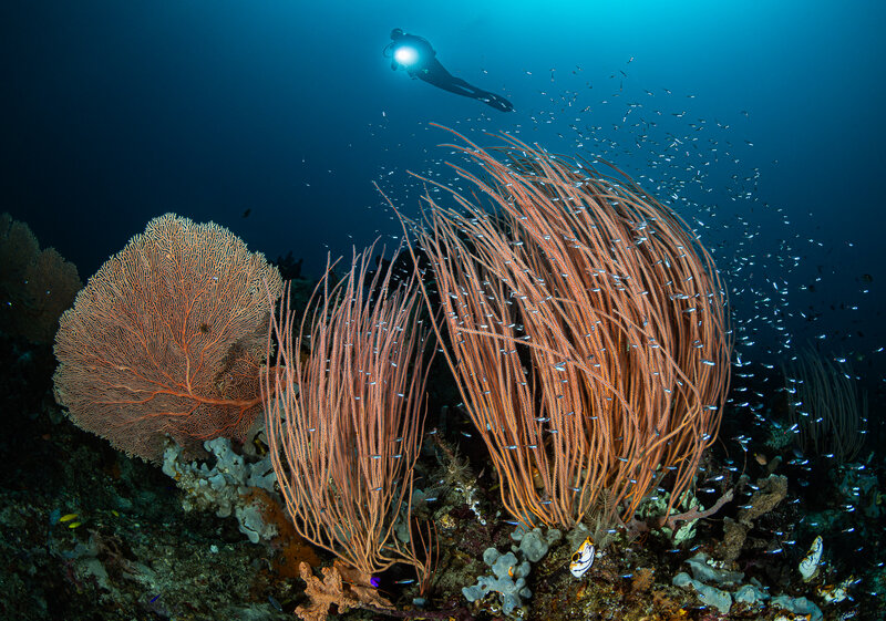 _H0A6056-Modifica.jpg