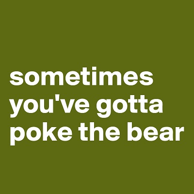 _poke bear.jpg