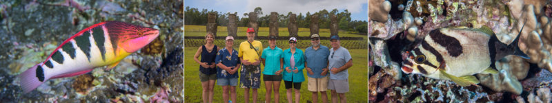 AAA - Easter Island composite(ALT).jpg