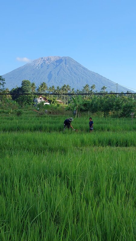 Agung.jpg