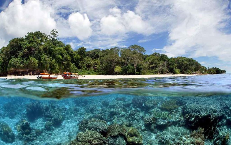 Ambon-Maluku.jpg