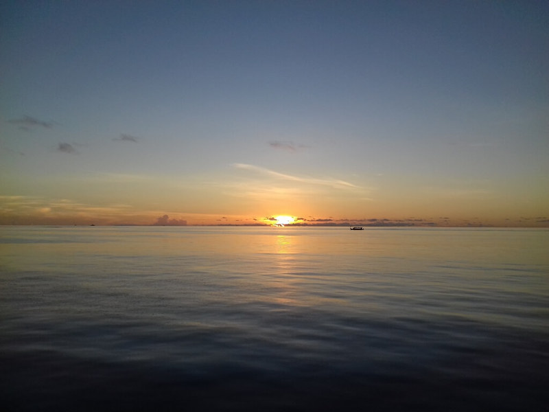azalea-cruise-sunrise.jpg