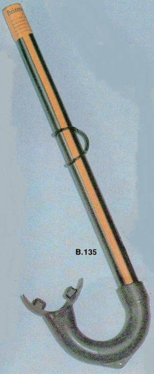 B135-Conger-2.png