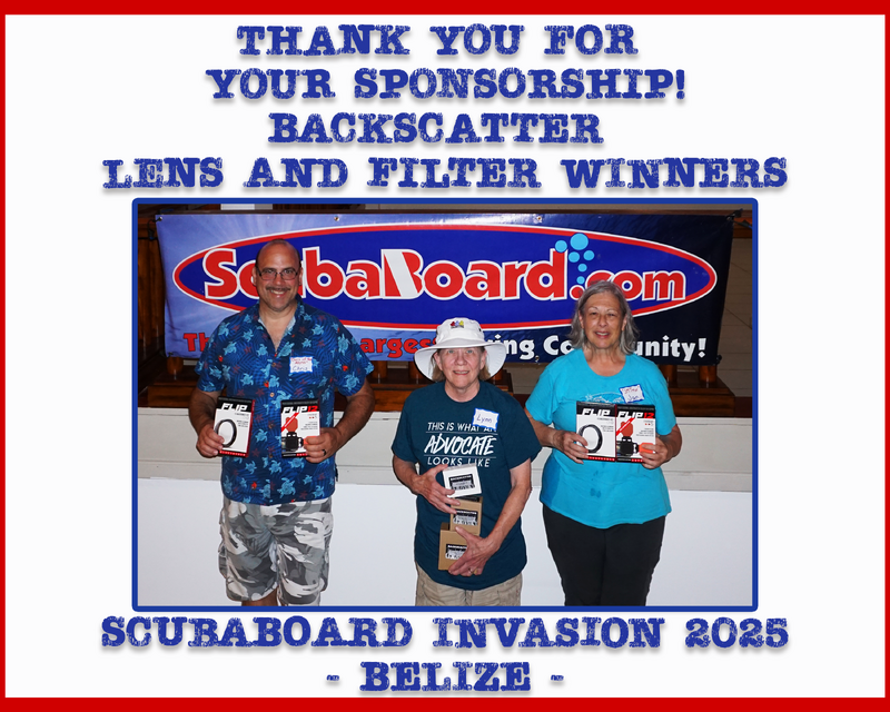 Backscatter Lens & Filter Winners.png