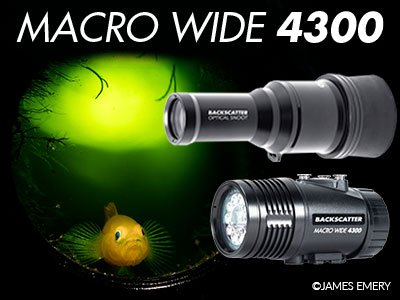 Backscatter-MW-4300-Video-Light-Banner-SB.jpg