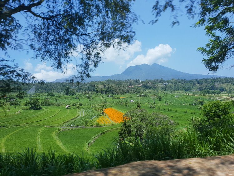 Bali-Tulamben-Drive.jpg