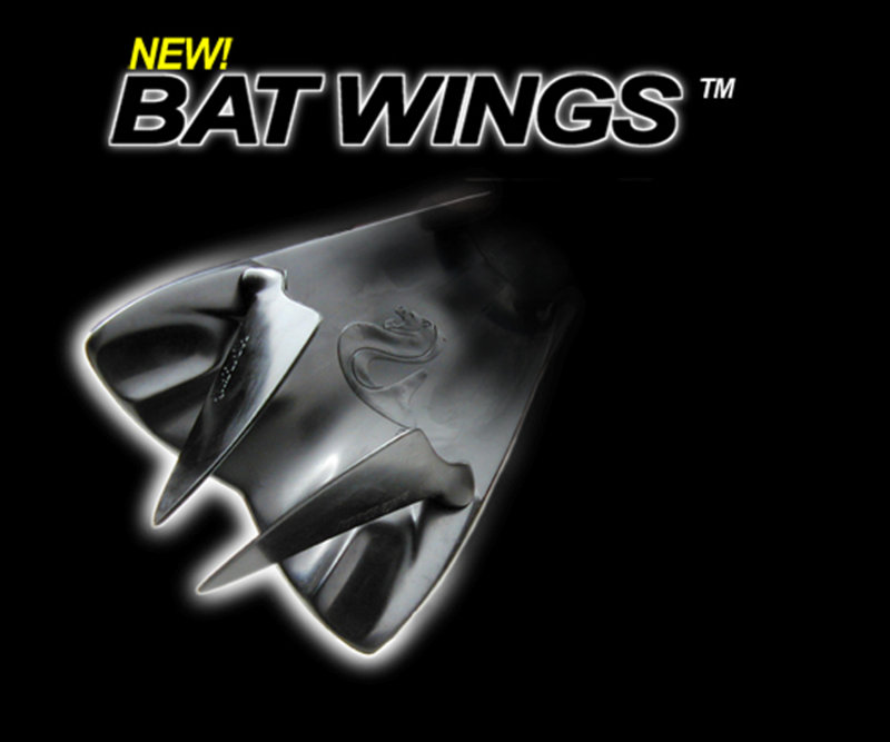 batwings.jpg-fw.jpg