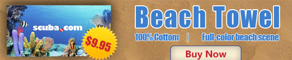 beach-towel-banner.jpg