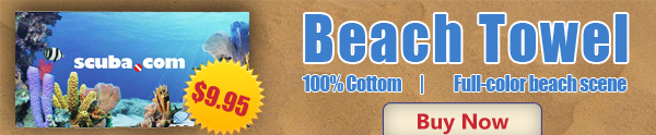 beach-towel-banner.jpg beach-towel-banner.jpg