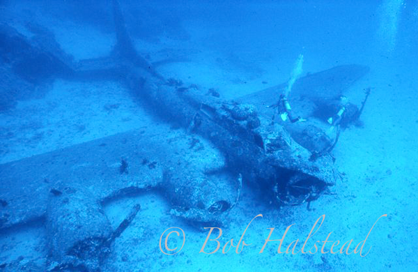 Bob_Halstead_Diving-026.png