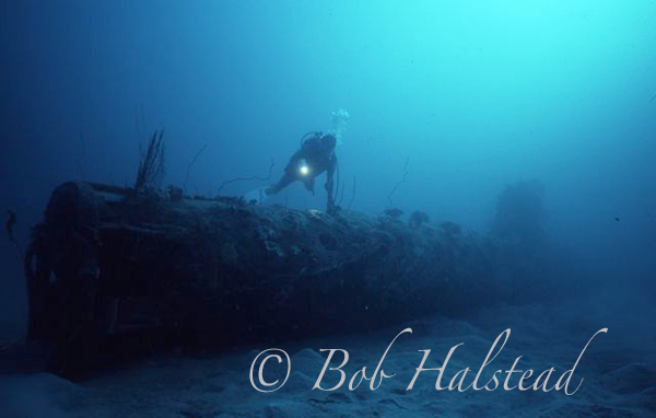 Bob_Halstead_Diving-028.png