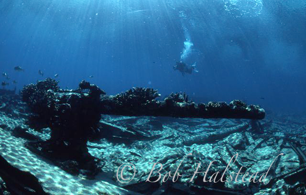 Bob_Halstead_Diving-029.png