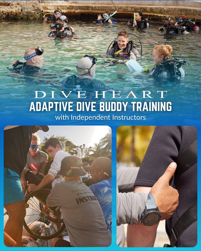 buddy training.jpg