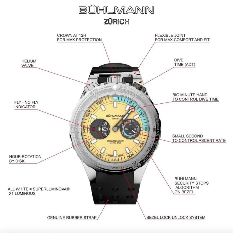 Buhlmann watch layout.jpg