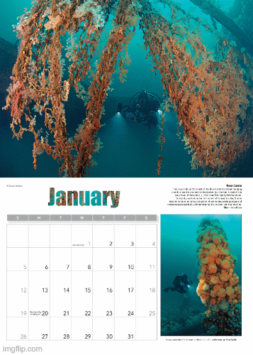 Calendar gif.gif