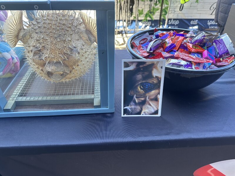 candy.JPG candy.JPG