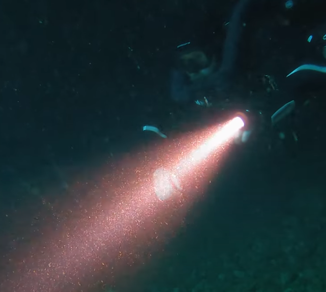 CANISTER DIVE LIGHT.png CANISTER DIVE LIGHT.png