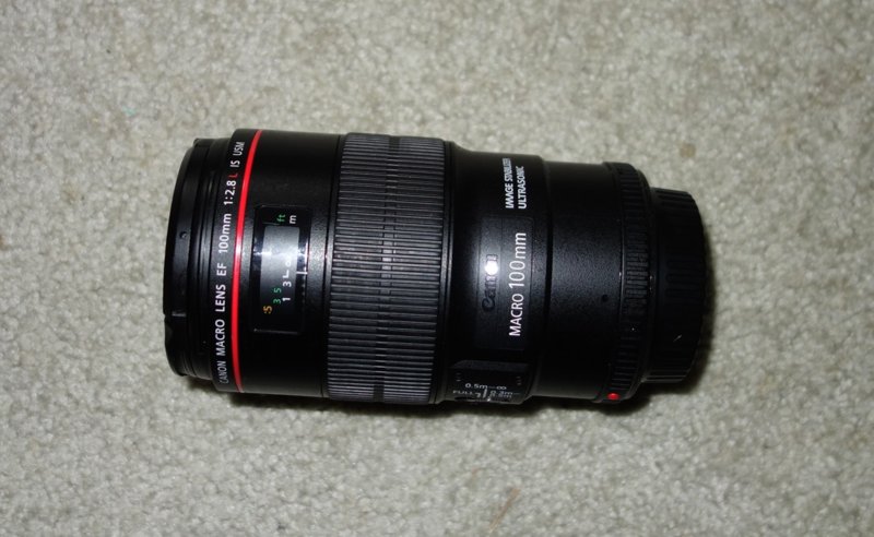 Canon EF 100 mm macro.JPG