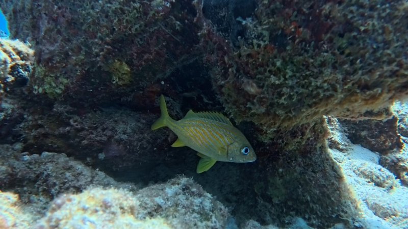 Cas Abao_20250802_01.jpg