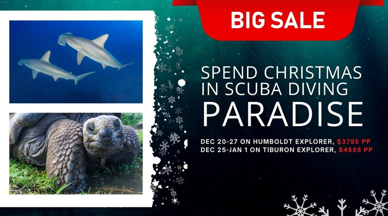 CHRISTMAS Sale Galapagos.jpg