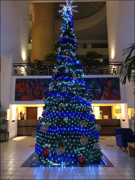 Christmas Tree Dec 9 2021.JPG