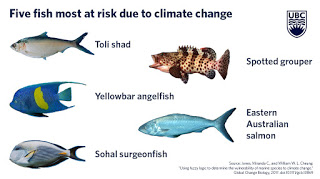 Climate-change-fish-risk.jpg