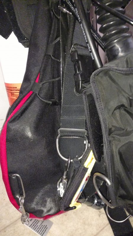 close up of right harness.jpg