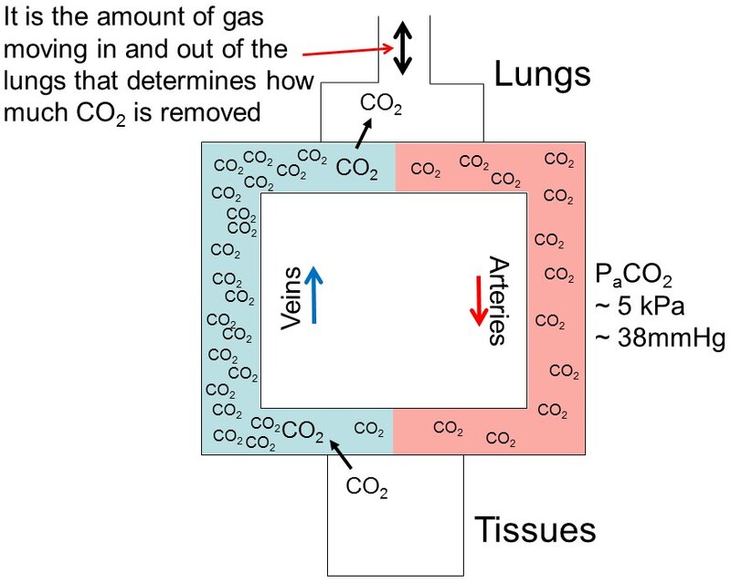 CO2 elimination.jpg