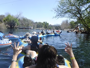 comal3smaller.jpg comal3smaller.jpg