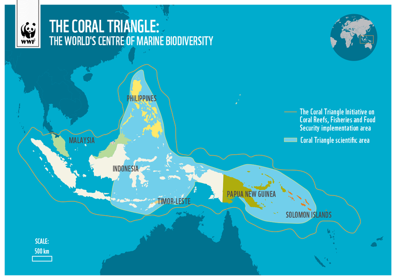 coral_triangle_programme_map.png