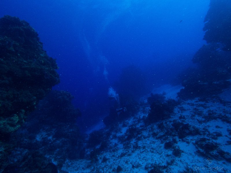 Coz May 2025 Seascape divers swirl 001c.jpg