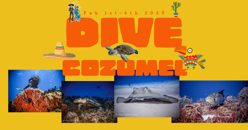 Cozumel header (2).png