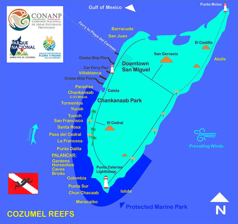 Cozumel_Reefs_-_2019_-_small.jpg