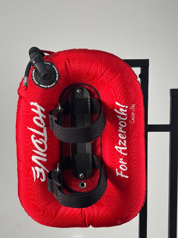 Customized Diving BCD Wing (4).jpg