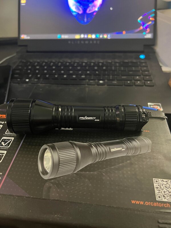 d550dive light.jpg d550dive light.jpg